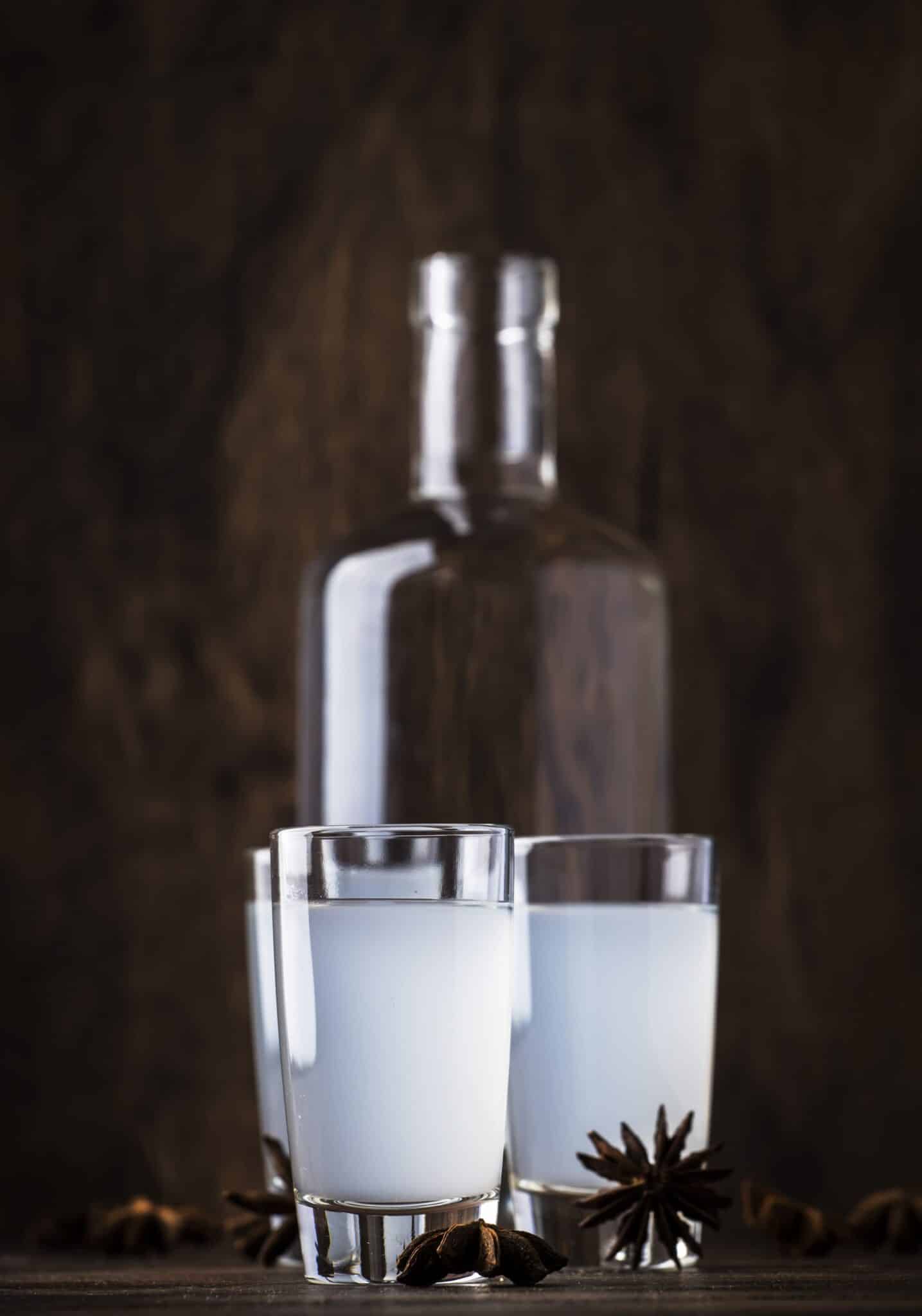 Comment boire un anis del mono